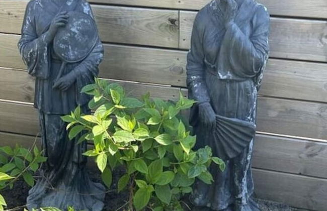 Holiday Home Satijnduiker - Foto 26