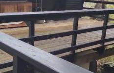 chalet LES GRANDES TERRES - Foto 4