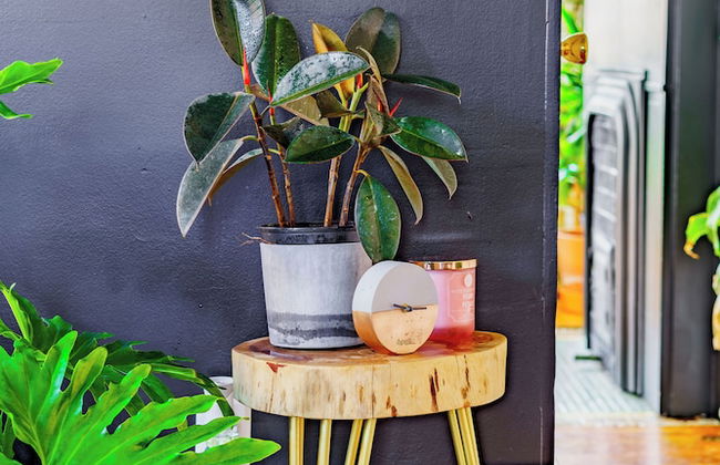 Jungle House Luxury Stays - Downtown Columbus & Short North - Foto 49