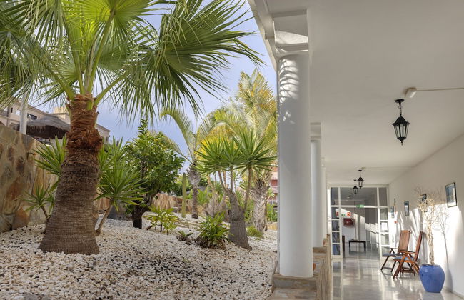 whala!tenerife - Foto 80