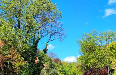 Studio apartmani L'ART - Photo 21