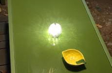 Agriturismo Raggio di Sole - Foto 4