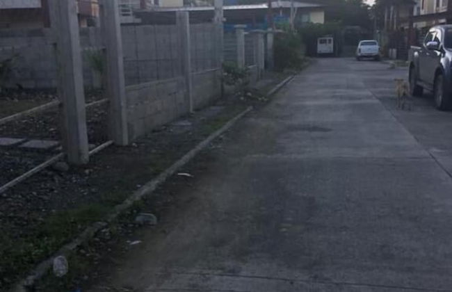 Pines Mansion II House - Foto 23