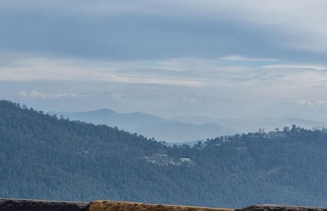 VivaPines - Photo 11