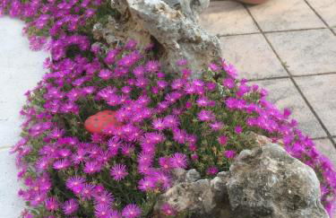 Villa Margherita - Foto 30