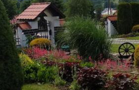 Dom z ogrodem w malowniczej okolicy Bieszczady - Foto 5