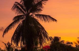 Refugios Parajuru - Chalet la Garagem - Photo 41