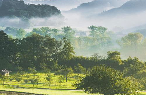 Franzenhof Markhart - Photo 69