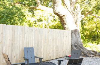 The Big Twisted Oaks - Foto 79