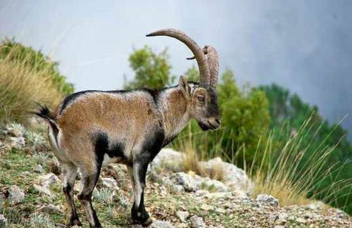 El Rincón de Mariela By Travel Home - Foto 49