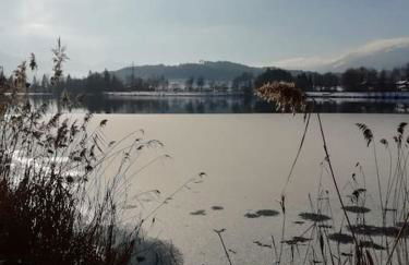 Illerblick - Foto 15