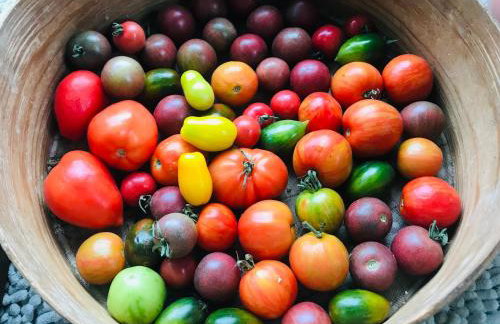 Domek Walentinki - Foto 24