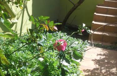 Villa Eftichia - Photo 45