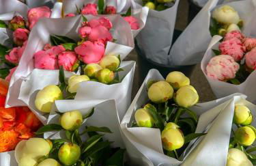 La Terrasse - Entire townhouse in hilltop village - Foto 21