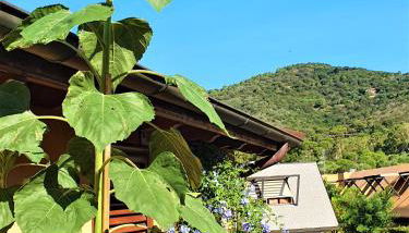 "La Terrazza di Castiglione" APPARTAMENTI VACANZA - Foto 5, Other