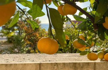 Beachview Apartments Podstrana - Photo 62