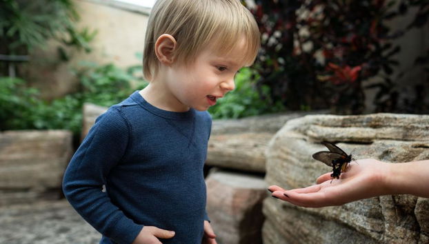 Butterfly Conservatory - Photo 5