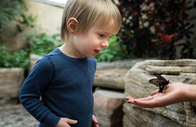 Butterfly Conservatory - Photo 5
