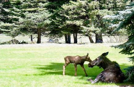 Picturesque Cottage for a Riverside Retreat near Big Sky, Montana - Foto 24