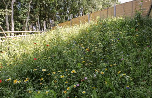 Stag Cottage - Photo 45