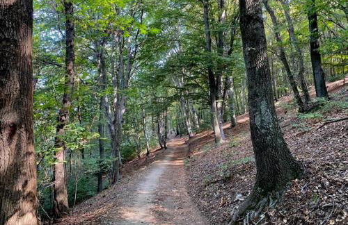 Bella Italia chalet - Foto 44