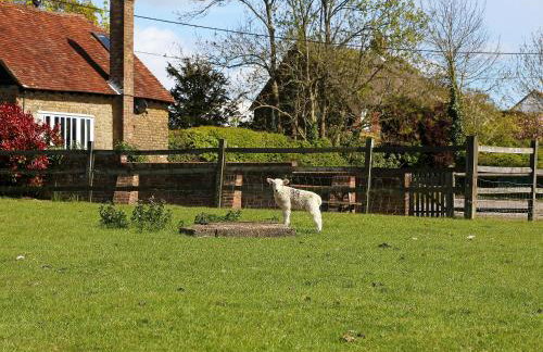 Stable Cottage - Foto 13