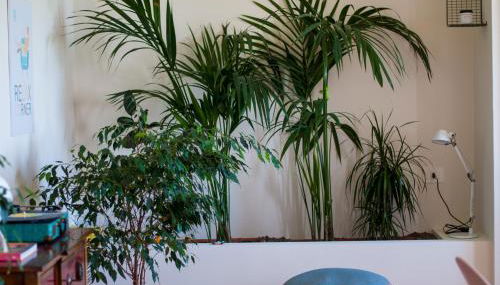 Punta Penna Seahouse - Foto 4