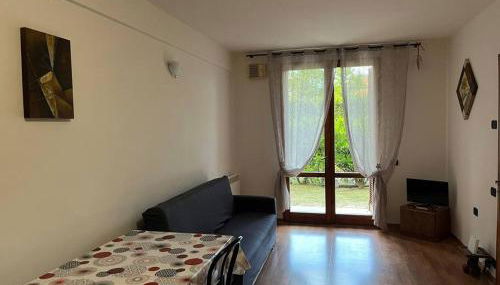 Il nido dell'abete - Foto 5