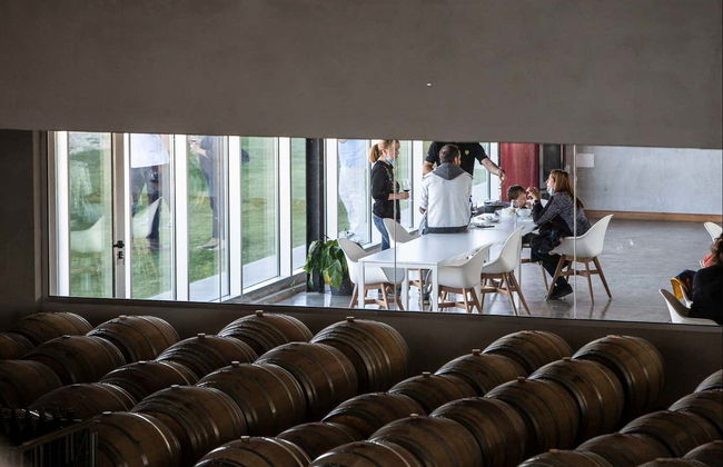 Dominio Lubiano Winery Tour - Photo 6