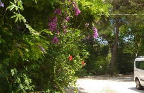 Il Trullo del Cadetto - Foto 55