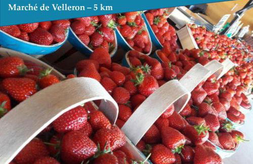 Les Bastidons de l'Isle - Le Seguret - 3 étoiles - Photo 12