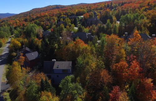 E5 Beautiful Bretton Woods slopeside home amazing views of Mount Washington Hot Tub AC - Foto 63