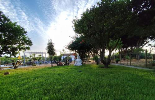 Casa do Lagar - Foto 7