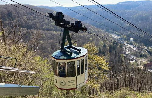 Ferienwohnungen bei der Purpurbuche - Foto 42