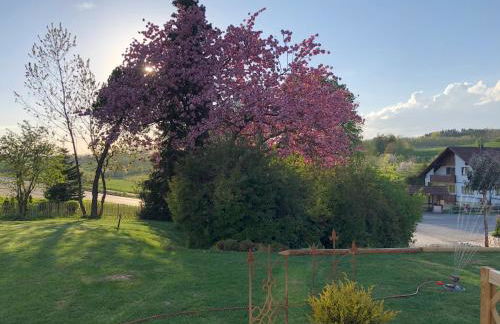 Ferienbauernhaus New Style - Foto 28