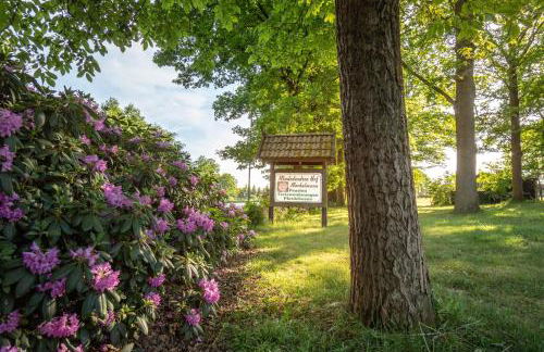 Rhododendronhof - Foto 11