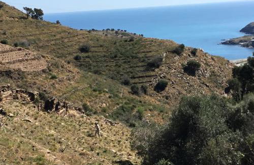 Vue mer, crique de Peyrefite, Cerbère-Banyuls. - Foto 26