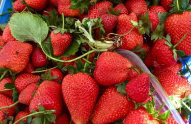 Incanto del Garda - Foto 57