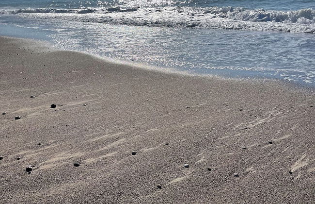 Villa With a Private, Heated Pool for Exclusive use Near Cefalù - Photo 32