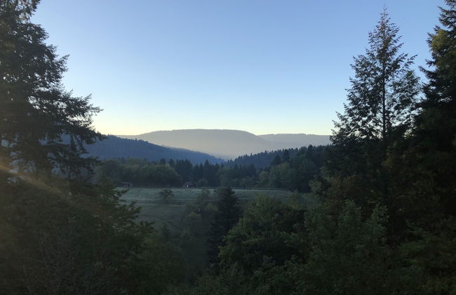 Schweizerhaus Alpirsbach - Foto 55