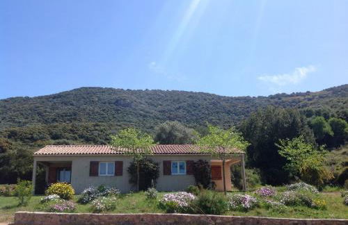 Residence Cucunacciu - Foto 30