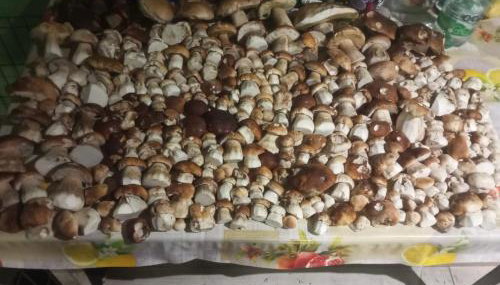 Dom pod Matyską - Foto 2