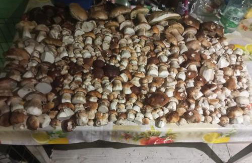 Dom pod Matyską - Foto 2