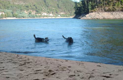 Chão da Lousa - Foto 25