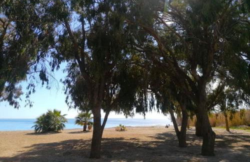 Lovely Oasis Or Ange Exclusive 100mt to the sea - Foto 38