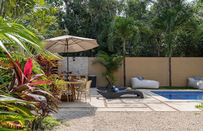 Meso Maya - Photo 54