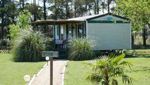 MAS MAURANE-Le Platane avec SPA privé aux portes d'ARLES - Foto 4