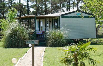 MAS MAURANE-Le Platane avec SPA privé aux portes d'ARLES - Foto 4