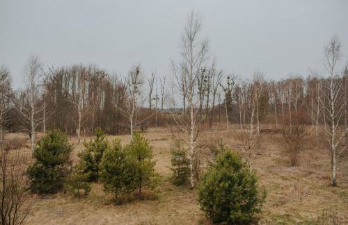 Dom Gościnny Sowia Stópka - Foto 40