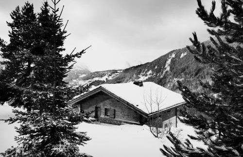 Chalet No 10, le Réconfort, accès skis aux pieds à Saint-François-Longchamp - Valmorel - Photo 1